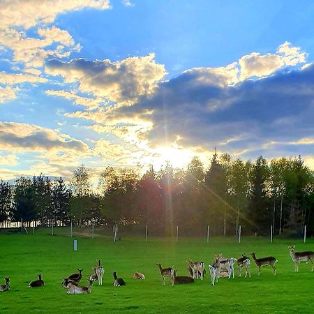 Przystan Nad Zatoka - Gospodarstwo Agroturystyczne Lubieszewo  Esterno foto