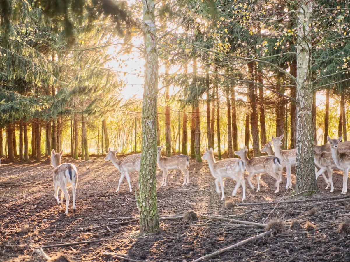 Przystan Nad Zatoka - Gospodarstwo Agroturystyczne Lubieszewo  Esterno foto
